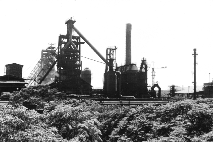 ������Ե-������Ե�ٷ���վ_MG������Ե